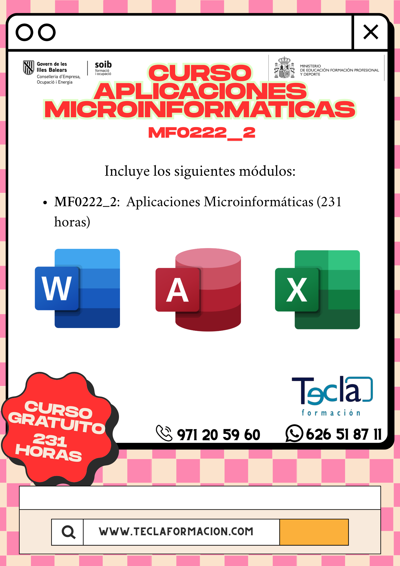 APLICACIONES MICROINFORMÁTICAS